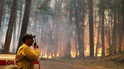 Los bomberos hicieron un gran esfuerzo para apagar las llamas en Groveland, California.