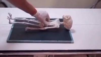 Con la muestra de dos cuerpos de seres no humanos en la cámara de Diputados de México, el ufólogo Jaime Maussan y expertos en la materia pidieron a los legisladores reconocer la vida extraterrestre en el país.