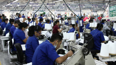 La maquila generará nuevos empleos en San Pedro Sula y el Valle de Sula en los próximos dos años.