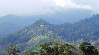 La frontera agrícola. La eterna lucha entre la naturaleza y las necesidades siempre crecientes del hombre.