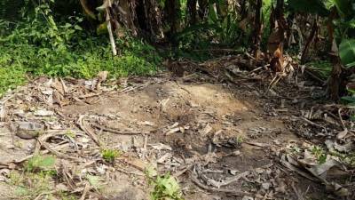 El lugar se encuentra en el sector de Miramelinda en San Pedro Sula.