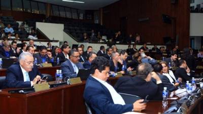 De los 27 diputados liberales, 17 votaron en contra del rango constitucional.