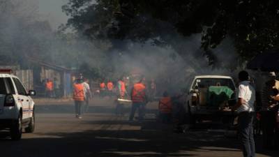 Varios sectores de San Pedro Sula como Chamelecón y Cofradía son más vulnerables a la enfermedad.