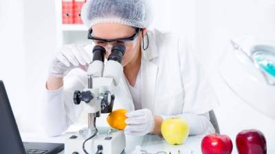 Es importante mantener una vigilancia de los alimentos para evitar que lleven bacterias perjudiciales a la salud.