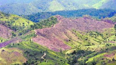 Desde las alturas, los daños provocados en la Biosfera son más que visibles.