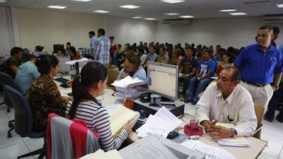 Solicitar el RTN es un trámite sencillo, pero la demanda es elevada en los últimos días. Foto: Melvin Cubas.