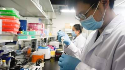 La Universidad de Pekín toma la delantera en el desarrollo de un tratamiento para frenar la pandemia de coronavirus./AFP.