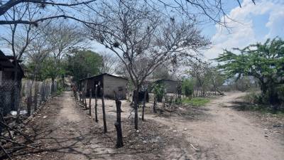 <b><span class=mln_uppercase_mln>Sector.</span></b> Los municipios de la zona central son afectados.<span class=mln_uppercase_mln> </span>