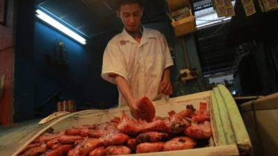 Producto. Vendedor de mariscos ordena tilapias en un refrigerador. Foto: Melvin Cubas.