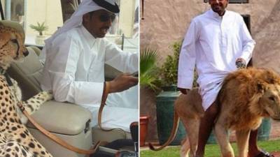 Su afición por los felinos y su necesidad de lucirse como hombres súper poderosos los llevan a tenerlos como mascotas. (Foto: Fress.co)