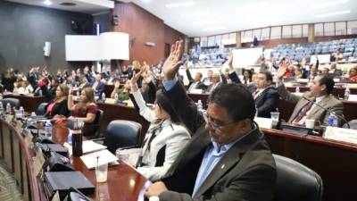 El proyecto de decreto que fue enviado por el Poder Ejecutivo.