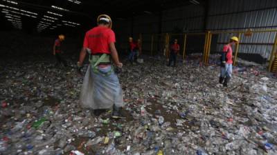 Más de 10,000 sampedranos recolectan materiales reutilizables, pero la cifra en la actualidad disminuyó debido a los bajos precios que se registran en el mercado. Fotos: Yoshep Amaya