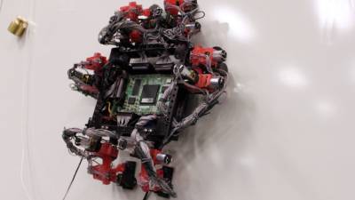 Fotografía facilitada por la University School of Engineering Science de uno de los prototipos del robot trepador 'Abigail', de seis pies mecánicos, diseñados para trepar por superficies verticales que pueden funcionar en el espacio gracias a la creación de un material que imita la adherencia de las patas de las salamanquesas. EFE