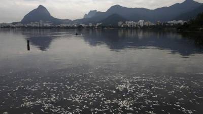 Según la compañía municipal de limpieza urbana (Comlurb), a las 11.00 hora local (13.00 GMT) de este viernes la cantidad de peces muertos recogidos en la conocida 'Lagoa' alcanzó la cifra de 21,8 toneladas. EFE/Archivo.