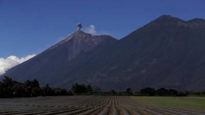 El volcán de Fuego de Guatemala está ubicado a unos 50 kilómetros de la capital. EFE/Archivo