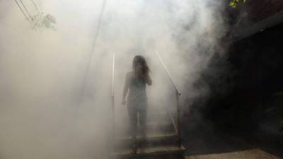 A woman walks through the fumes as Health Ministry employee fumigate against the Aedes aegypti mosquito to prevent the spread of the Zika virus in Soyapango, six km east of San Salvador, on January 21, 2016. Health authorities have issued a national alert against the Aedes Aegypti mosquito, because of the link between the Zika virus and microcephaly and Guillain-Barré Syndrome in fetuses. AFP PHOTO/Marvin RECINOS