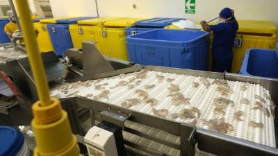 AM Camaroneras de la Zona Sur 19 Jul 2013