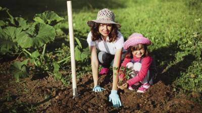La jardinería es una actividad para disfrutar en familia, pero tome medidas de precaución.