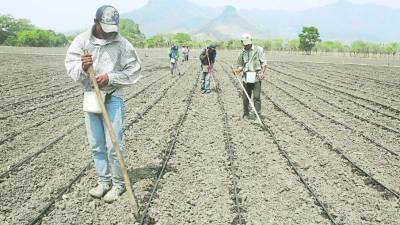 Viejos proyectos de irrigación de Nacaome y Jamastrán serán una realidad.