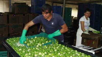 Con la implementación de la factura electrónica se engrosó la base tributaria de la DEI.