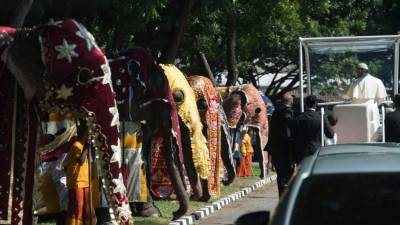 Con un desfile de al menos 40 elefantes fue recibido el papa Francisco en Sri Lanka.