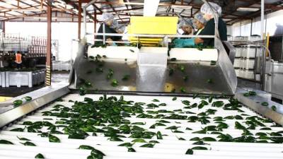 Prepararán a empresas para aumentar ventas.