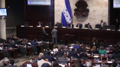 El Congreso Nacional someterá a un debate si aprueba el plebiscito.