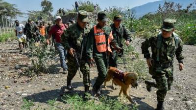 El número de militares venezolanos que han desertado de la Guardia Nacional ha aumentado significativamente en las últimas horas, según reportes de Migración Colombia y Brasil, territorios a donde los uniformados han solicitado asilo tras huir de Venezuela.