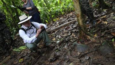 Durante este viaje a la zona selvática de La Mosquitia se realizará la extracción de las primeras piezas.