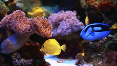 Foto de istockphoto.com