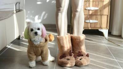 Para mascotas como perros y gatos, considere suéteres o mantas diseñadas específicamente para ellos.