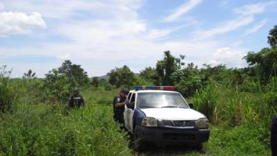 Los cuerpos de los cuatro jóvenes fueron encontrados en este potrero entre las colonias Ayestas y El Carmen de San Pedro Sula.