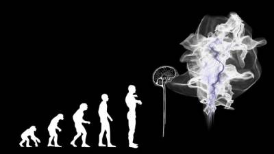 Los científicos han hecho nuevas investigaciones para determinar cómo se ha desarrollado el cerebro humano con el paso del tiempo. Foto Pixabay