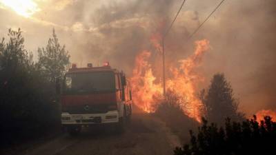 Varios coches calcinados tras el incendio registrado en Argyra Akti, cerca de Nea Makri, en Attica (Grecia) este 24 de julio. EFE