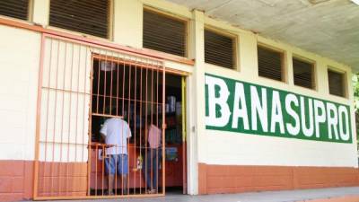 Las tres tiendas que hay en San Pedro Sula no logran abastecer de producos básicos a la población que lo requiere.