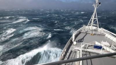 Un tercio de los océanos está anémico, especialmente alrededor de la Antártida, debido a la falta de nutrientes como el hierro, lo que ha generado la presencia de grandes porciones de 'desiertos' marinos.