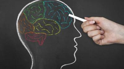 El cerebro alerta sobre el peligro.