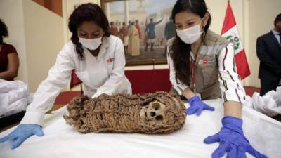 Personal forense recibió la momia infantil aymara de 2.000 años después de décadas de negociaciones.