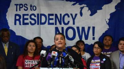 Activistas y funcionarios del Gobierno salvadoreño pidieron a Trump extender el TPS. //EFE.