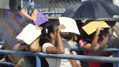 Miles de profesionales buscan empleo con hoja de vida en mano y no lo encuentran.