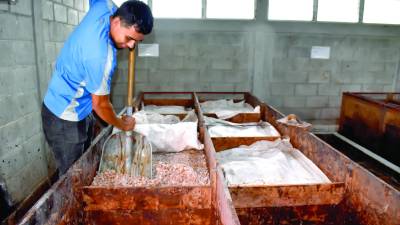 <b>Las fincas y plantas donde se cosecha y se fermenta el cacao orgánico están ubicadas en Jutiapa, Atlántida.</b>