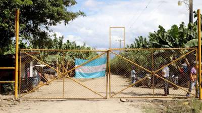 Grupos se han apoderado de tierras cultivadas, en su mayoría en el norte de Honduras.