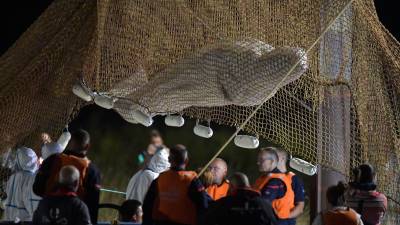 La ballena fue rescatada en una compleja operación que requirió el apoyo de varios buzos y decenas de rescatistas en el río Sena.