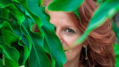 Acude a la naturaleza. Tres cuartas partes de las personas responden haber experimentado el asombro en un entorno natural.