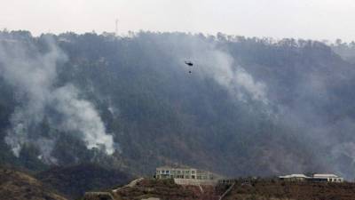 Con 3.857 hectáreas arrasadas por 16 incendios, el departamento de Gracias a Dios, fronterizo con Nicaragua, es el que más bosques ha perdido este año, mientras que el que más fuegos registra con 133, que destruyeron más de 3.722 hectáreas, es Francisco Morazán, donde se localiza Tegucigalpa, la capital. EFE/Archivo