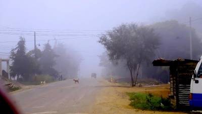 Una densa capa de niebla cubre la entrada de la ciudad de La Esperanza, Intibucá. Fotos: Melvin Cubas