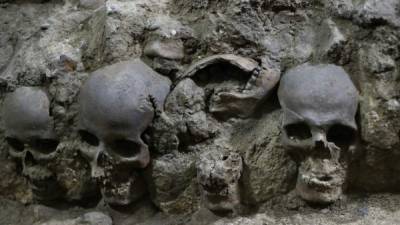 Cráneos hallados en el Imperio Azteca.