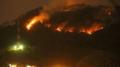 A la zona acudieron apagafuegos de la estación central de la capital y del municipio de Santa Lucía.