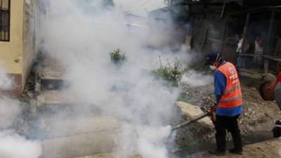 El zika, dengue y chikungunya tienen a más de 18,000 hondureños enfermos, según la Secretaría de Salud.