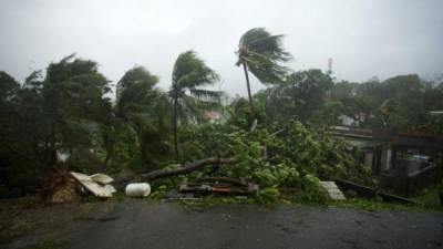 El ciclón causó severos daños en Dominica.